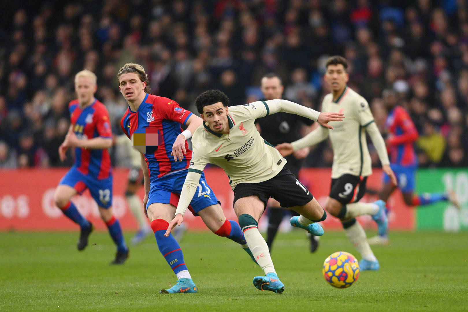 佩佩在禁区 佩佩在禁区